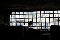 Україна готова помилувати росіян, які попросили Путіна їх обміняти