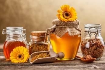 Україна посіла перше місце в Європі за обсягом виробництва меду