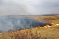 На Волині горіло півгектара торфополя