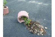 У Луцьку мешканці багатоповерхівки влаштовують 