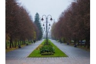 У луцькому парку виявили неадекватного чоловіка (Фото)