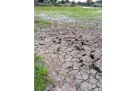 У селі під Луцьком всохло озеро (Фото)