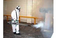 У Луцьку житлові будинки потерпають від дрібних комах