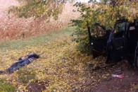 Сім'я розбилася через яму на дорозі: є загиблі та постраждалі