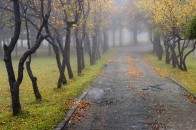 Починається осінь: Україну заллє дощами