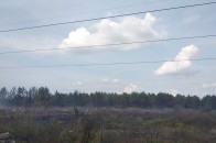 На Волині горів молодий ліс