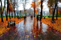 Осінь наступає: на заході України – різке похолодання з дощами