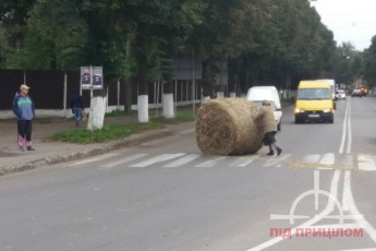 У Луцьку замість пішоходів по 