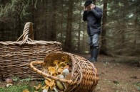 На Волині люди пішли за грибами та не повернулися