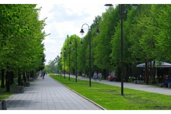 У Луцьку обговорили встановлення споруд на паркових зелених територіях