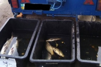 На Волині за незаконний продаж риби затримали чоловіка