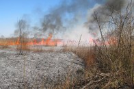 У волинських селах шукатимуть паліїв