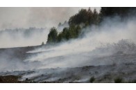 На Волині горить торфовище (відео)