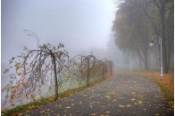 В Україну йде похолодання з дощами і сильним вітром