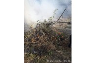 У Луцьку покарали паліїв листя та гілля дерев