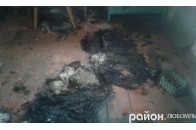 Через куріння: на Волині дідусь згорів у власному будинку