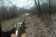 На Волині стартував сезон полювання на диких парнокопитних
