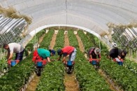 У Польщі жаліються на зменшення заробітчан з України