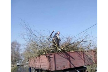 На Волині безробітні допомагають електрикам