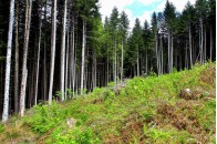 Підприємці з Австрії можуть розпочати співпрацю з волинянами