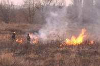 У Луцьку невідомі підпалили суху траву
