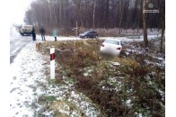 На Волині автомобіль злетів із траси (фото)