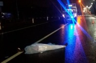 Під Луцьком авто насмерть збило чоловіка: деталі