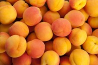 Продукти, які покращують нервову систему