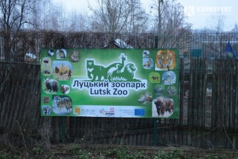 Зоопарк у Луцьку мають намір збільшити