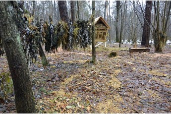 Волинські лісівники дбають про зимівлю диких тварин (фото)