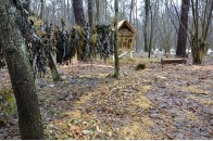 Волинські лісівники дбають про зимівлю диких тварин (фото)