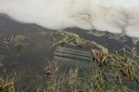 У луцькому парку орудували вандали