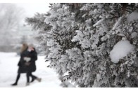 Якою буде погода у Луцьку, 6 січня
