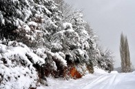 На Різдво в Україні очікуються люті морози
