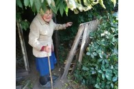 77-річній лучанці, яка створила притулок для 22-х собак, необхідна допомога