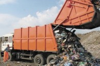 На полігоні у Брищі знайшли трупні відходи