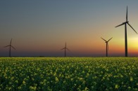 На Волині хочуть збудувати 35 вітроелектростанцій