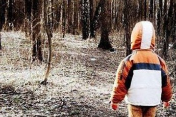 На Волині іноземці загубили дитину у лісі