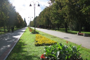 У Луцьку спрямують понад 1 мільйон на закупівлю квітів