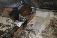 На Волині через п'яного господаря сталася пожежа