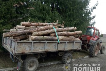 На Волині трактор перевозив сумнівну деревину