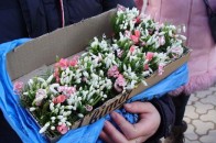 Волинян штрафуватимуть за продаж підсніжників