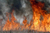 На Волині трапилось 5 пожеж через спалювання сухостою