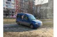 У Луцьку водій з підробленими документами на авто припаркувався на газоні