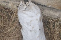 На Волині спіймали молодиків, які крали металобрухт