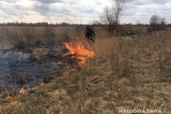 На Волині затримали палія сухої трави