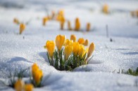 Завтра Україну засніжить