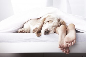 4 поради, які допоможуть швидко і легко заснути