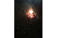У Луцьку покарали людей, які розводили багаття