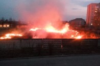 Біля луцького університету загорілась суха трава